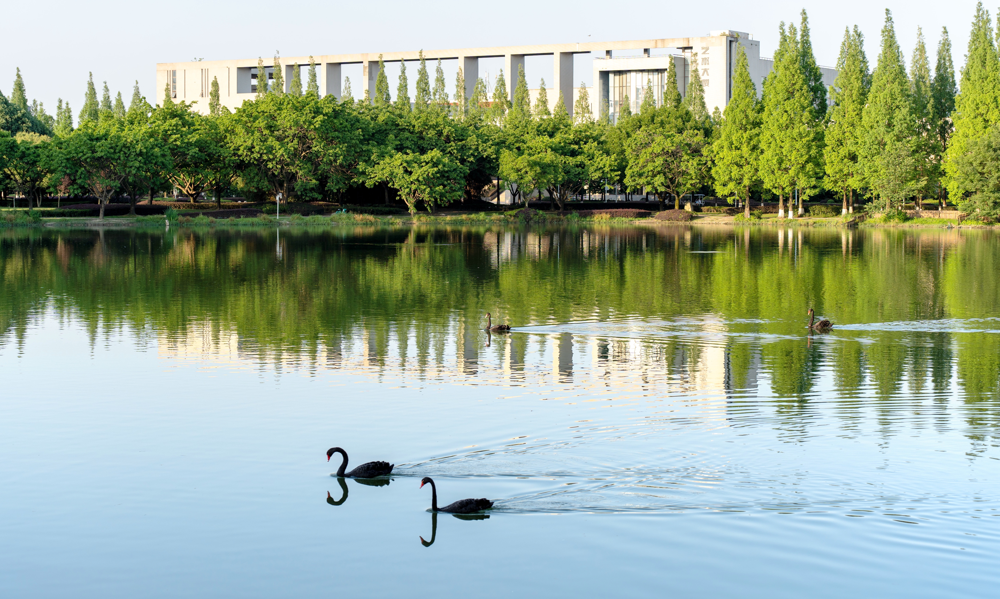 【奋进“十五五”】跑好开局“第一棒”！各部门全面开展2026年各项工作